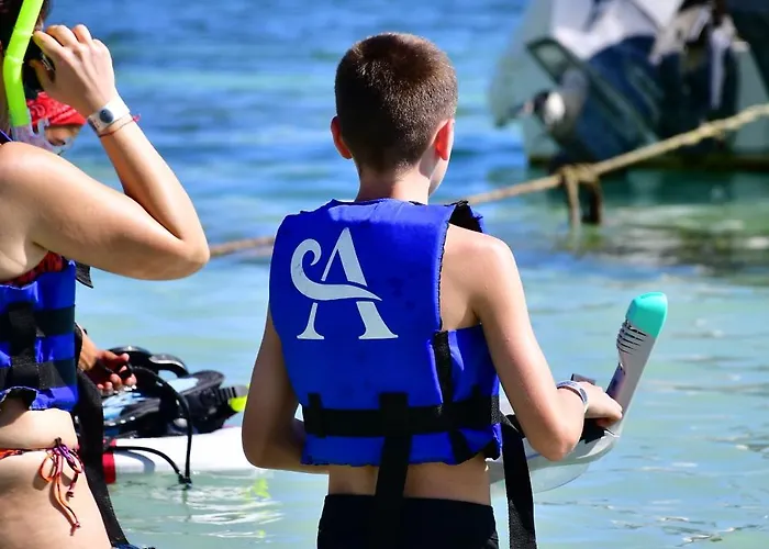 Nado Con Tortugas Marinas En * Akumal