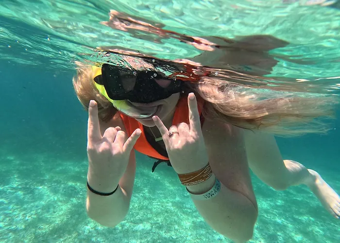 Nado Con Tortugas Marinas En Akumal